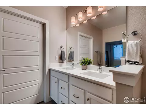 5871 Beeler St, Denver, CO 80238 photo 10