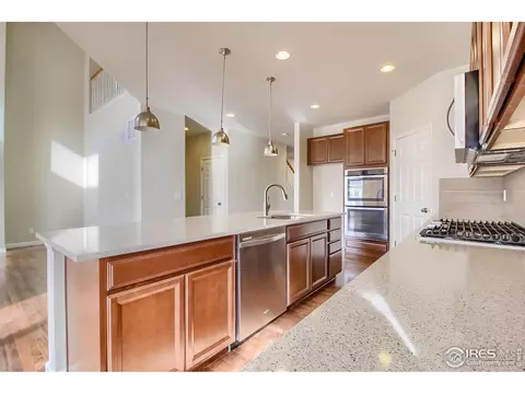 6807 Rainier Rd, Timnath, CO 80547 photo 10