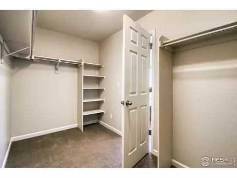 6807 Rainier Rd, Timnath, CO 80547 photo 27