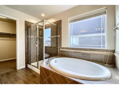 6807 Rainier Rd, Timnath, CO 80547 photo 18