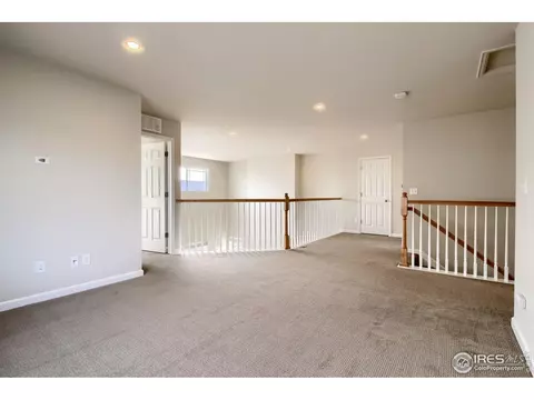 6807 Rainier Rd, Timnath, CO 80547 photo 28