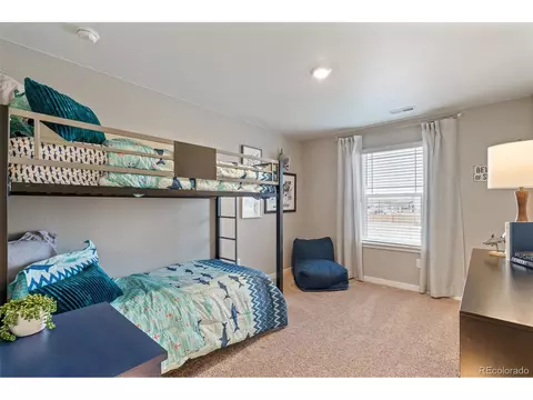 723 Lake Emerson Rd, Severance, CO 80550 photo 28