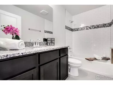 290 E Chestnut St #4, Windsor, CO 80550 photo 16
