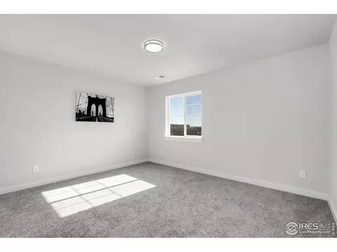 290 E Chestnut St #4, Windsor, CO 80550 photo 17