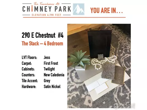 290 E Chestnut St #4, Windsor, CO 80550 photo 3