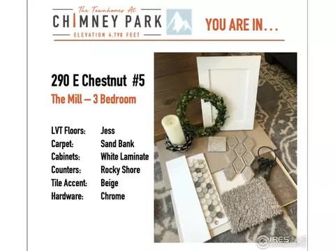 290 E Chestnut St #5, Windsor, CO 80550 photo 3