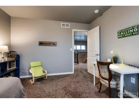 1809 Bell View Dr, Windsor, CO 80550 photo 26
