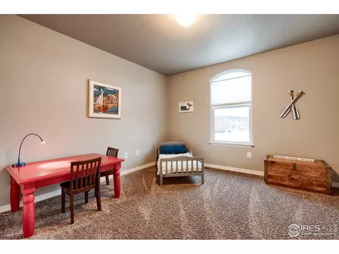 1809 Bell View Dr, Windsor, CO 80550 photo 29