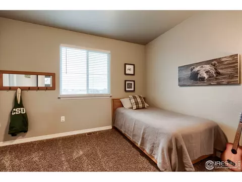 1809 Bell View Dr, Windsor, CO 80550 photo 25