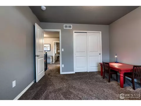 1809 Bell View Dr, Windsor, CO 80550 photo 30
