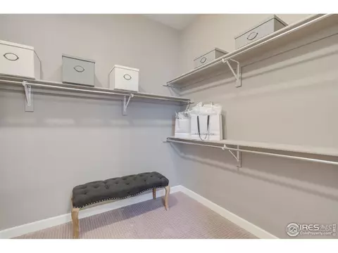 5900 Riverbluff Dr, Timnath, CO 80547 photo 19