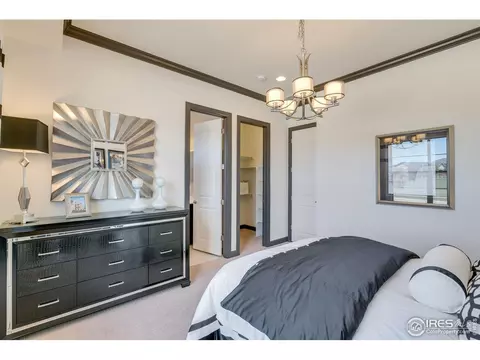 5900 Riverbluff Dr, Timnath, CO 80547 photo 23