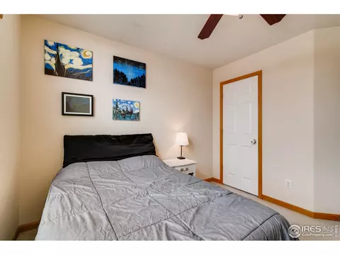 403 Meadow Dr, Windsor, CO 80550 photo 23