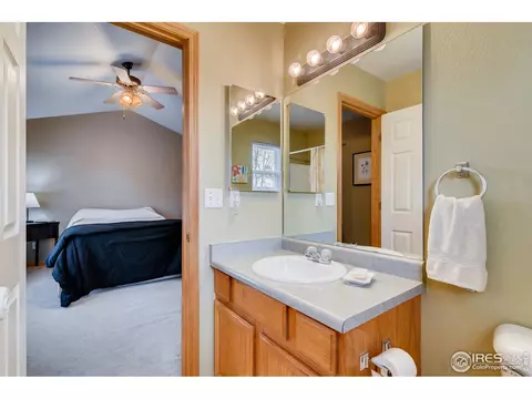 403 Meadow Dr, Windsor, CO 80550 photo 19