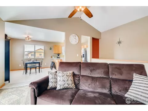 403 Meadow Dr, Windsor, CO 80550 photo 8