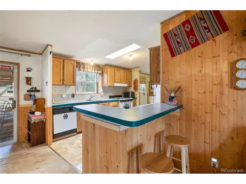 7666 County Road 51, Divide, CO 80814 photo 17