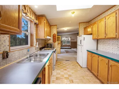 7666 County Road 51, Divide, CO 80814 photo 13