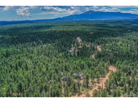 7666 County Road 51, Divide, CO 80814 photo 3