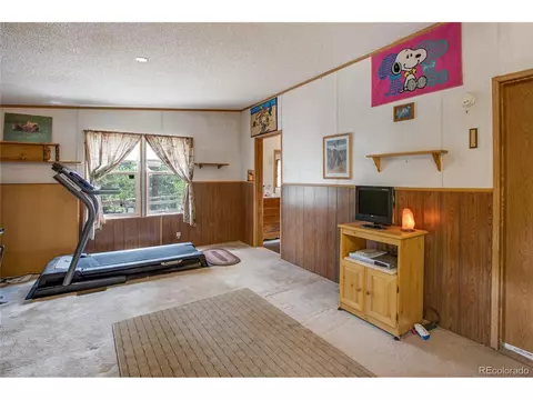 7666 County Road 51, Divide, CO 80814 photo 19
