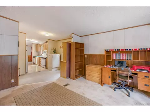 7666 County Road 51, Divide, CO 80814 photo 21