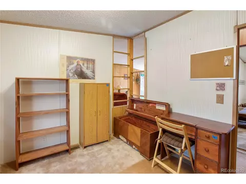 7666 County Road 51, Divide, CO 80814 photo 24