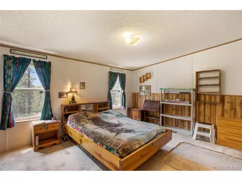 7666 County Road 51, Divide, CO 80814 photo 28