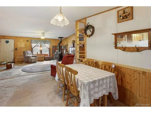 7666 County Road 51, Divide, CO 80814 photo 10