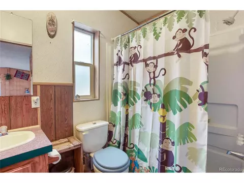 7666 County Road 51, Divide, CO 80814 photo 27