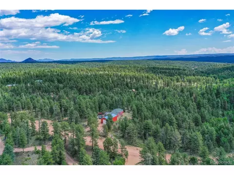 7666 County Road 51, Divide, CO 80814 photo 34