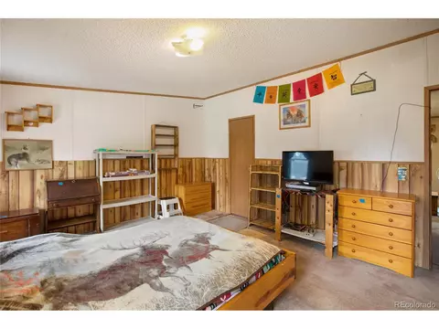 7666 County Road 51, Divide, CO 80814 photo 31