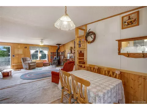 7666 County Road 51, Divide, CO 80814 photo 11