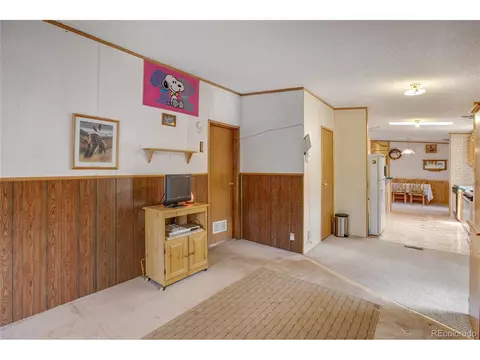 7666 County Road 51, Divide, CO 80814 photo 22