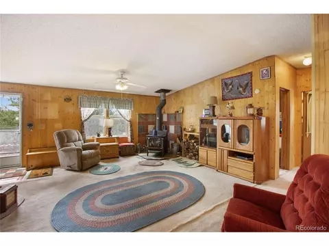 7666 County Road 51, Divide, CO 80814 photo 8