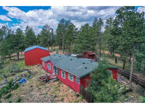 7666 County Road 51, Divide, CO 80814 photo 4