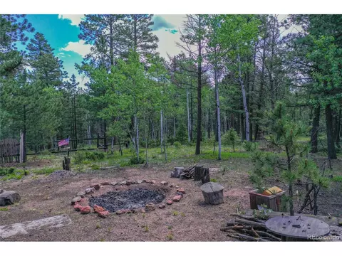 7666 County Road 51, Divide, CO 80814 photo 6