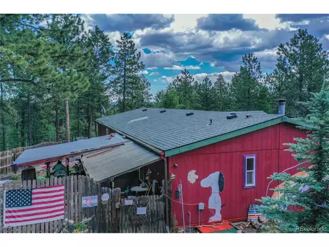 7666 County Road 51, Divide, CO 80814 photo 39