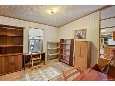 7666 County Road 51, Divide, CO 80814 photo 23