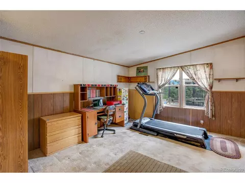 7666 County Road 51, Divide, CO 80814 photo 20