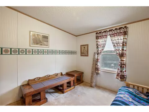 7666 County Road 51, Divide, CO 80814 photo 26