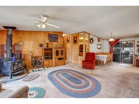 7666 County Road 51, Divide, CO 80814 photo 7
