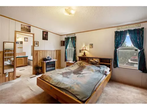 7666 County Road 51, Divide, CO 80814 photo 30