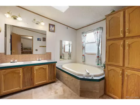 7666 County Road 51, Divide, CO 80814 photo 29