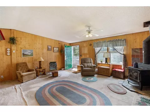 7666 County Road 51, Divide, CO 80814 photo 9
