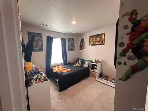 Bedroom - 331 Lone Pine St, Fort Lupton, CO 80621 photo 1 of 3