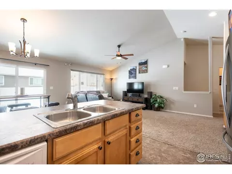 371 Mt Bross Ave, Severance, CO 80550 photo 14