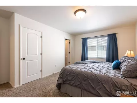 371 Mt Bross Ave, Severance, CO 80550 photo 16