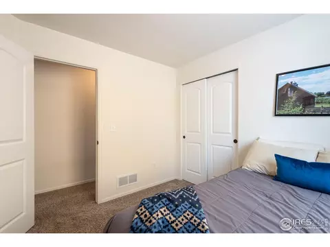 371 Mt Bross Ave, Severance, CO 80550 photo 20
