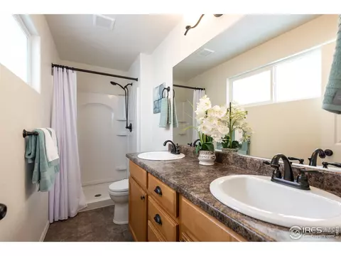 371 Mt Bross Ave, Severance, CO 80550 photo 18