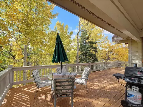 28 Sky Pilot Dr, Silverthorne, CO 80498 photo 8
