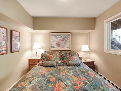 28 Sky Pilot Dr, Silverthorne, CO 80498 photo 37